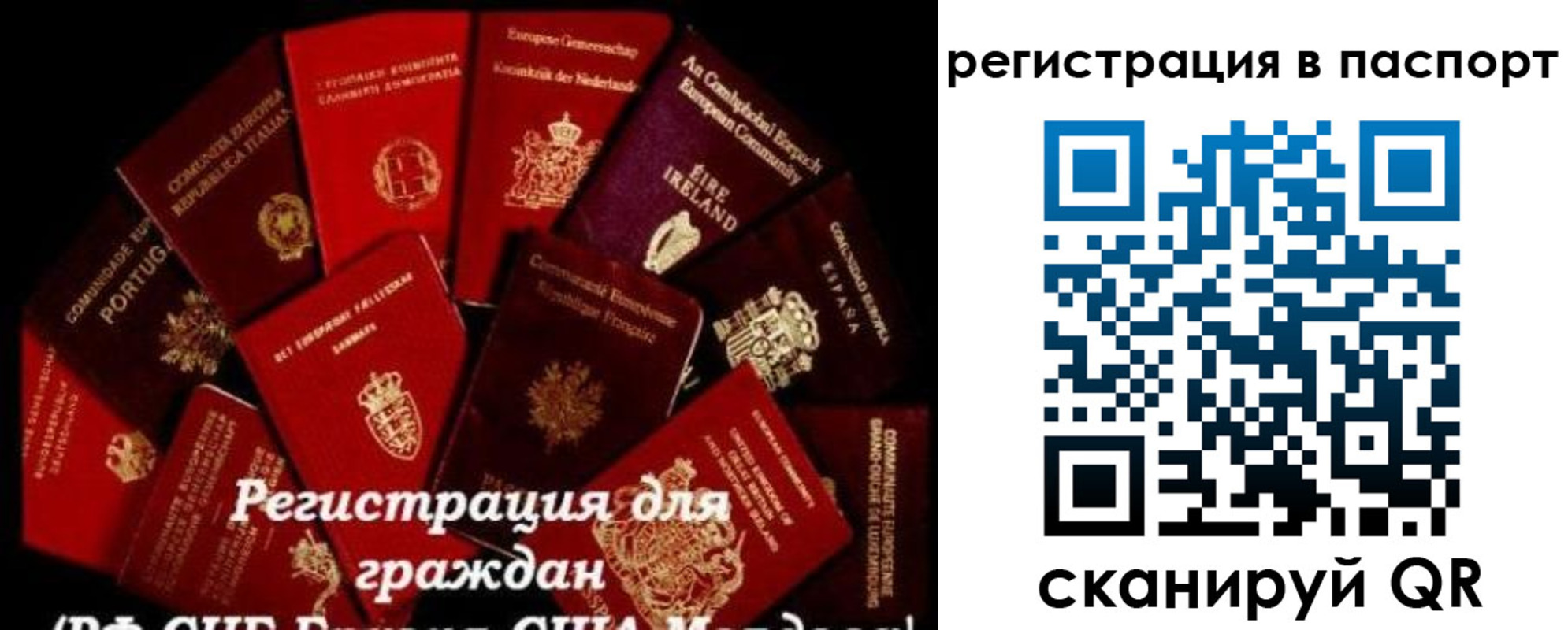 миграционный учет в Александровске